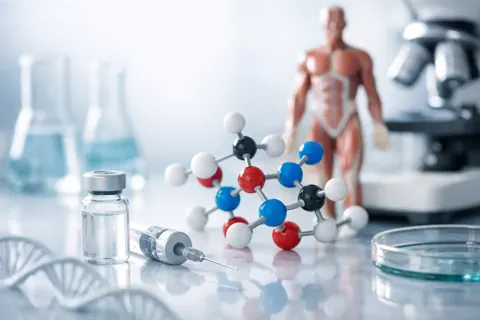 Learning About Peptides: A Beginner’s Framework